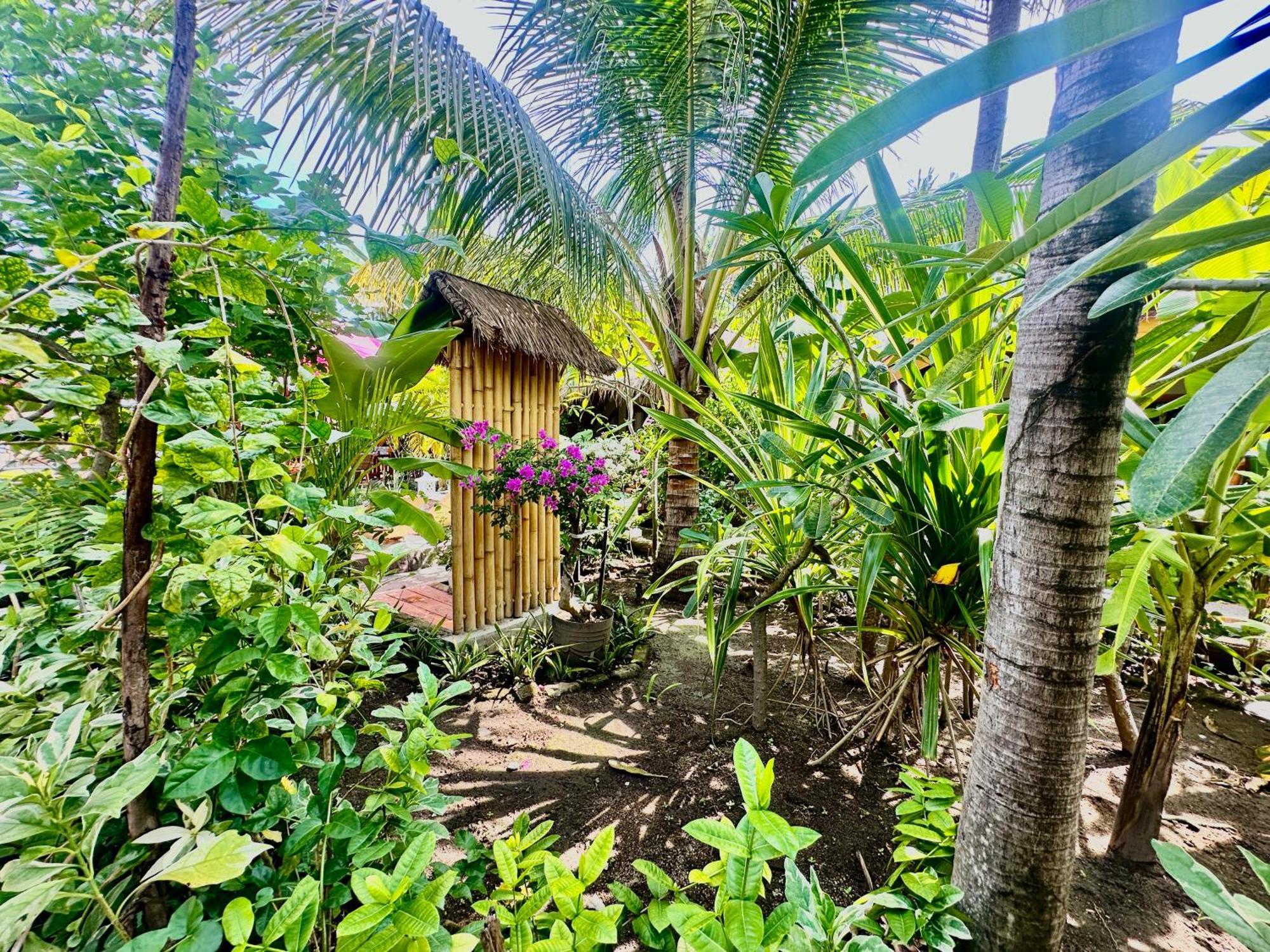 Sunny Rose Bungalows Gili Air - Adults Only ภายนอก รูปภาพ